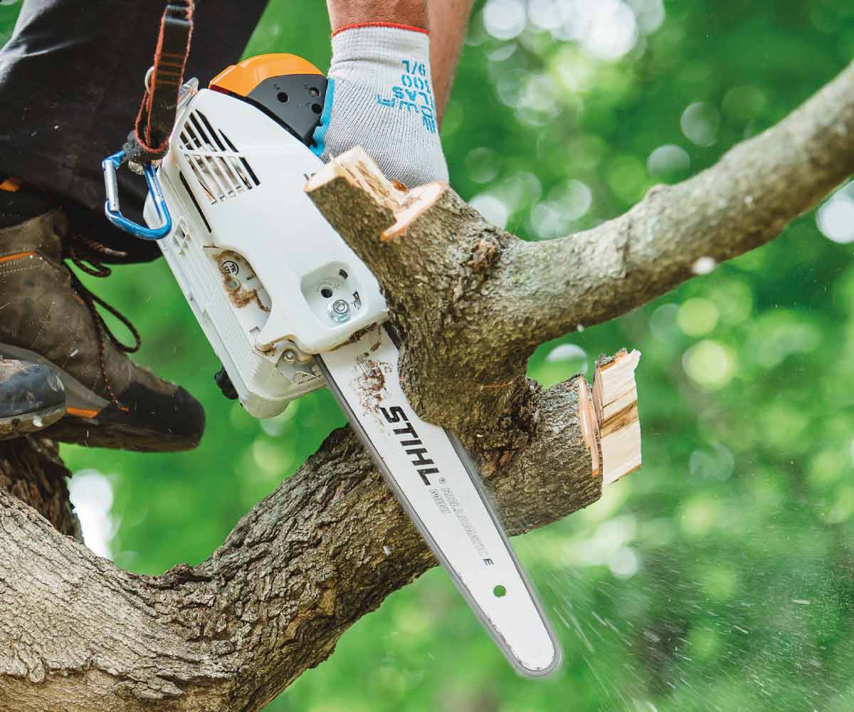 MS 151 T C-E - Chainsaw - Greenway Equipment – John Deere Dealer