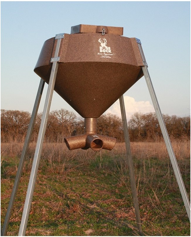 BB-1.6.P-1.jpg